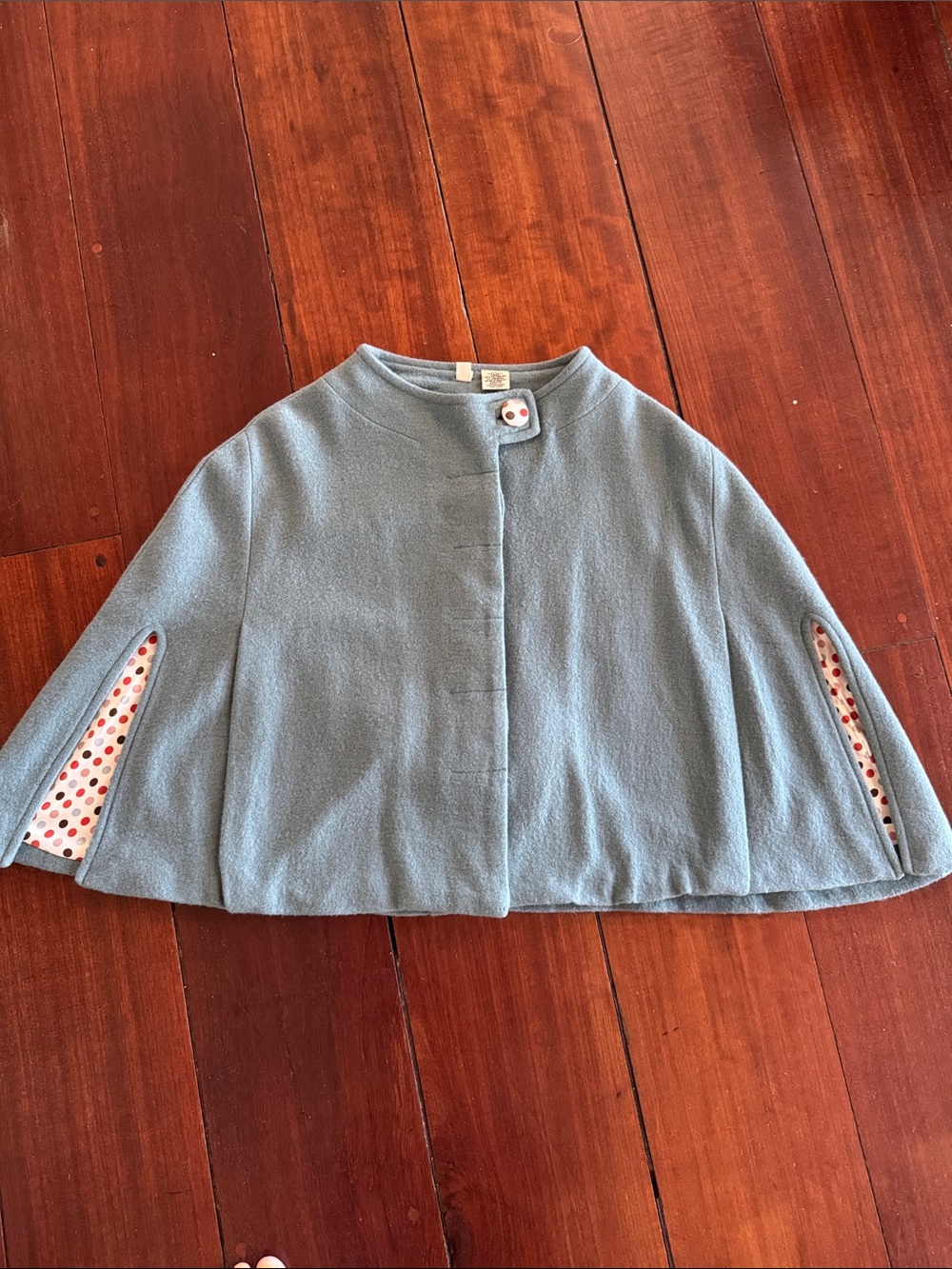 Gorgeous, timeless wool cape with polka dot lining. Anthropologie brand Moth